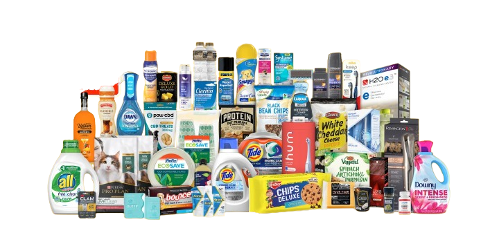 image removebg preview (3)